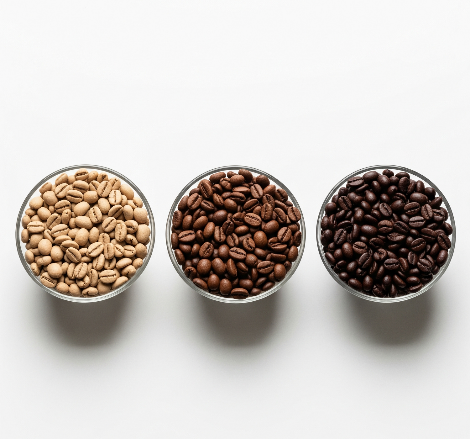 Coffee beans at different roast levels