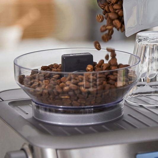 Sage Barista Pro